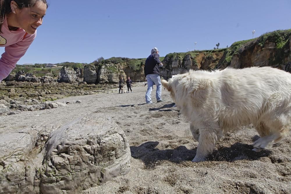 Gijón se promociona como destino vacacional para familias con sus mascotas