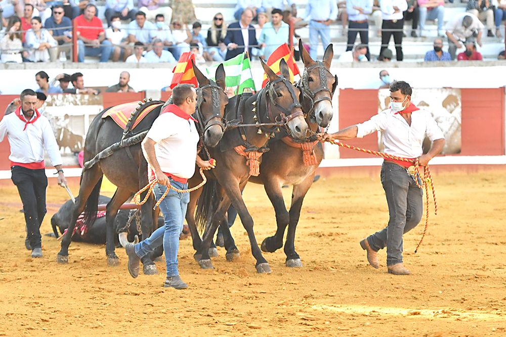 Rejones en Pozoblanco en un día de homenajes