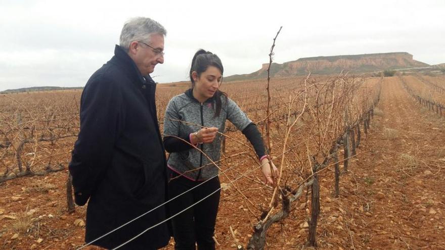 La cifra de agricultoras solo crece un 1,4% desde el 2009 en Aragón