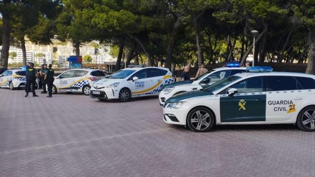 Agentes de la Guardia Civil y la Policía Local de Calvià, durante una intervención en Santa Ponça. | DM