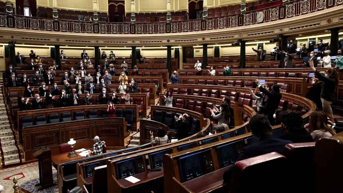 El Congreso de los Diputados.