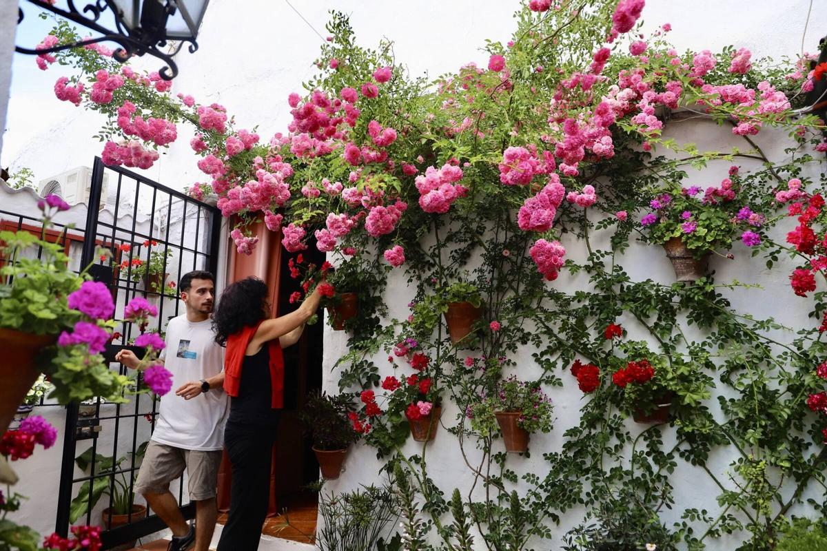Preparativos en los Patios de Córdoba, que abren hoy a los visitantes.