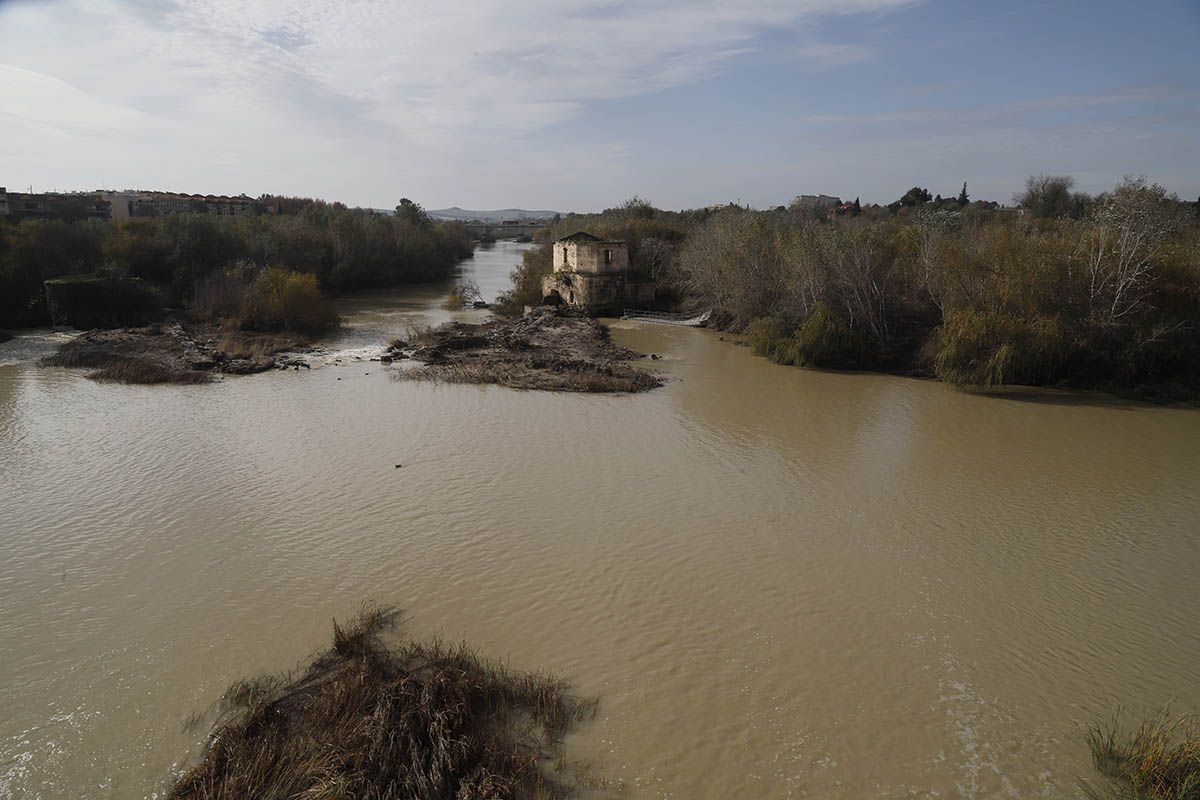 En imágenes el estado de la limpieza de los Sotos de la Albolafia