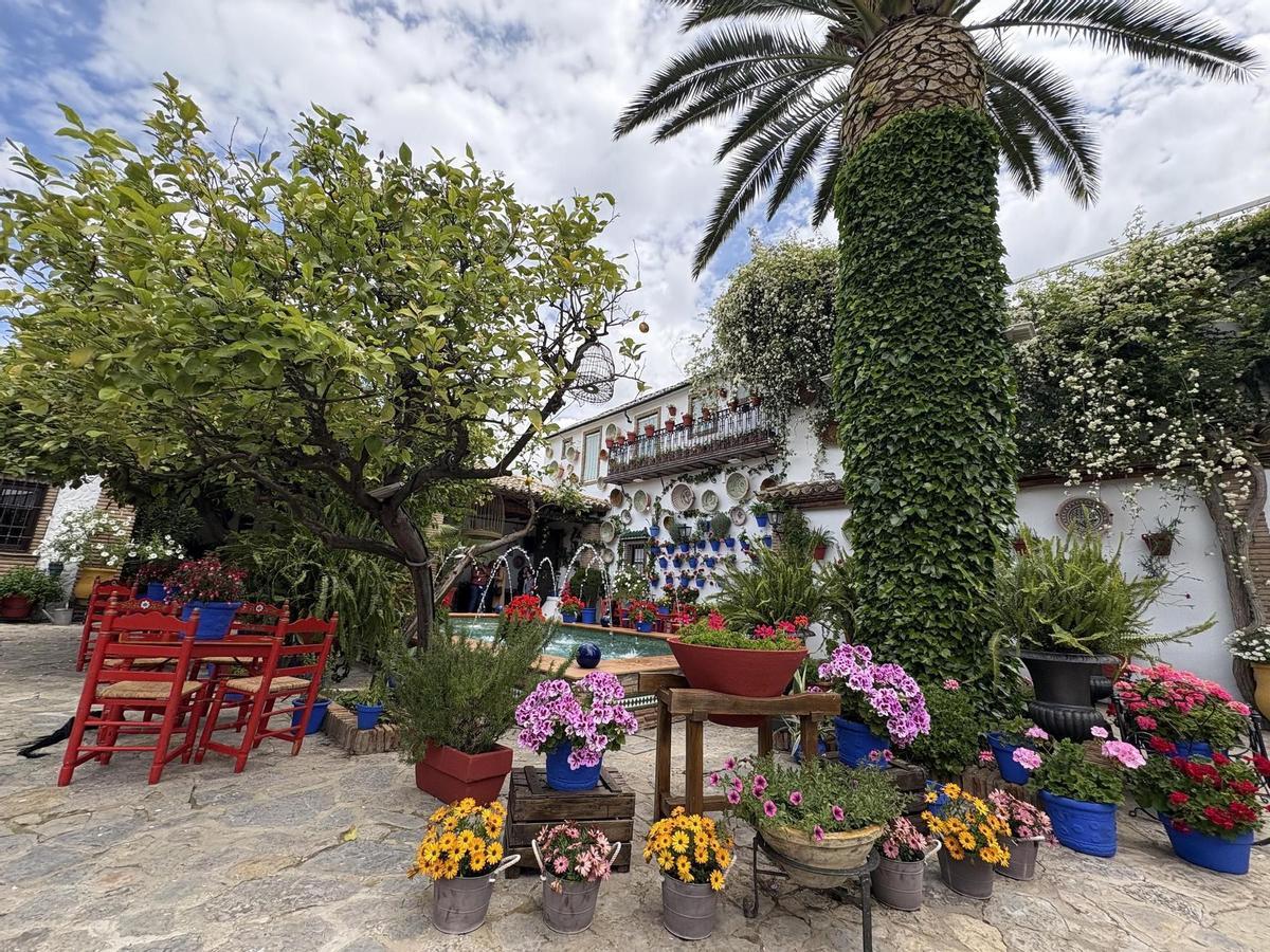 Patio con Duende de Rute, ganador del concurso del año pasado.