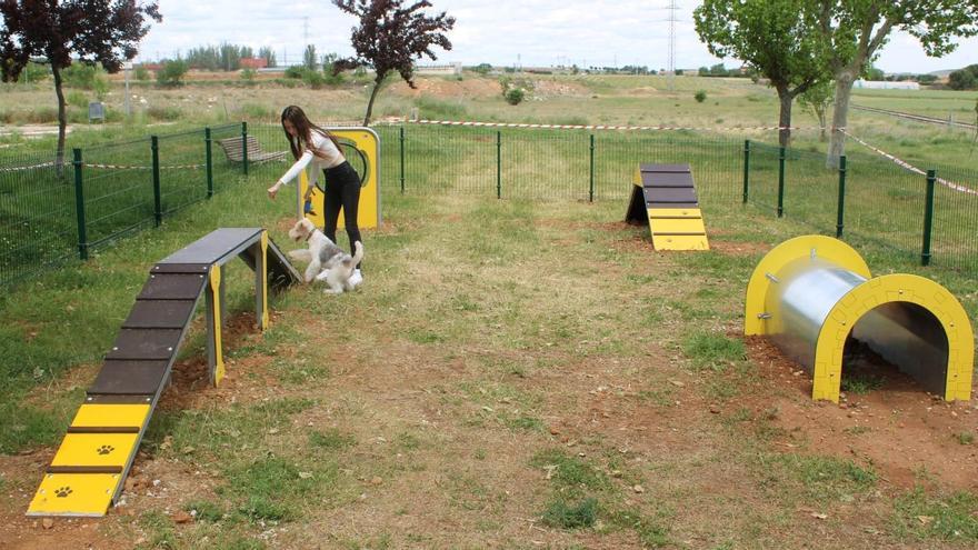 Nuevo parque canino &#039;Agility&#039; en Zamora para perros, situado en el siglo XXI.
