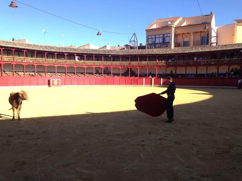 Fiestas en Toro | Becerrada de las peñas