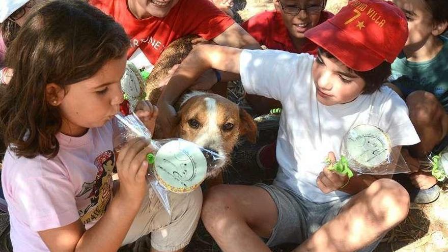 Niños paseando perros acogidos en la protectora de animales. // R. V.