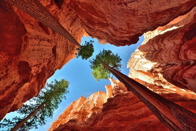 Parque Nacional de Bryce Canyon