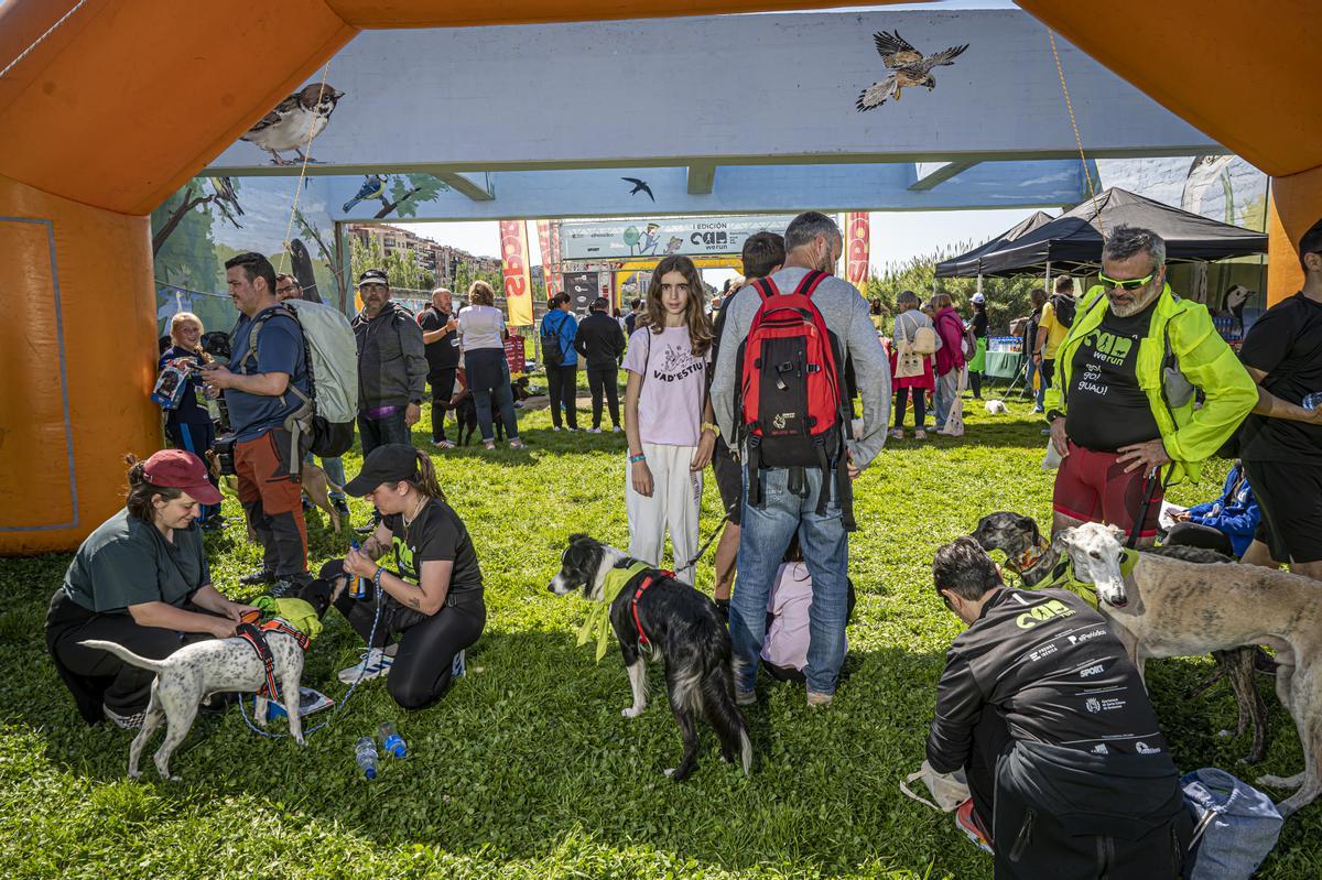 CAN WE RUN BARCELONA. La carrera organizada por Prensa Ibérica y El Periódico de Catalunya con la colaboración de Sport ,  donde las personas y sus mascotas perrunas corren en familia