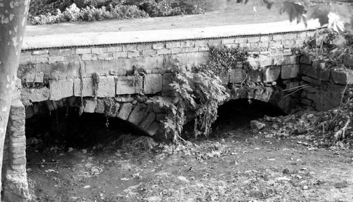 Pontarró Pont Nou
