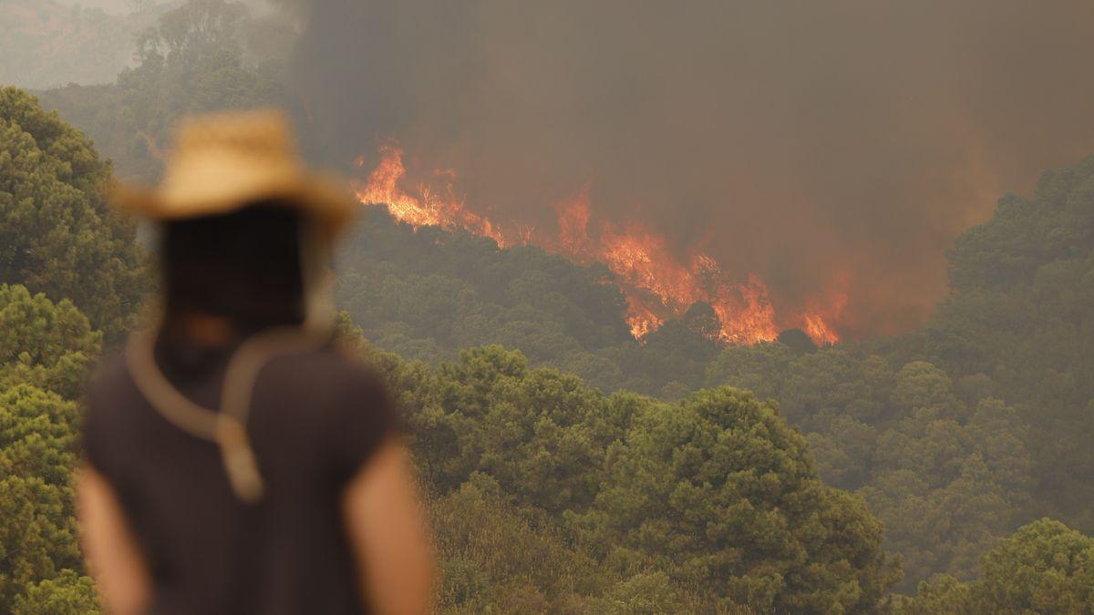 Incendio en Sierra Bermeja (Málaga).