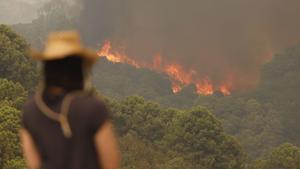 Les investigacions apunten que l’incendi de Màlaga va ser intencionat