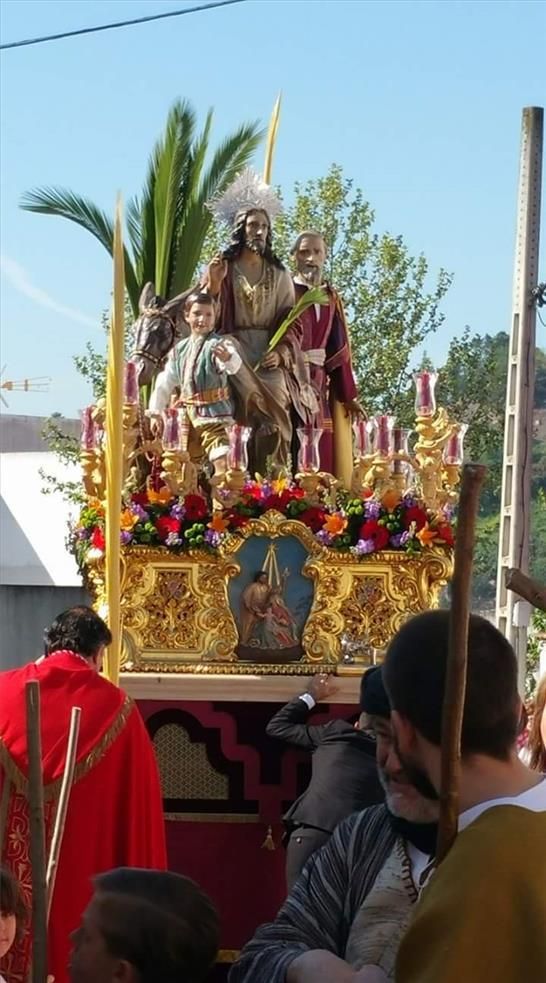 FOTOGALERÍA / El Domingo de Ramos en la provincia