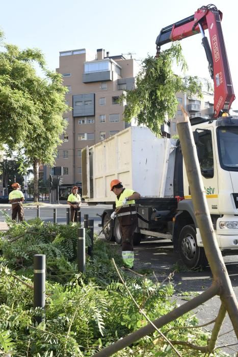 Tala de árboles en la zona del Zig Zag