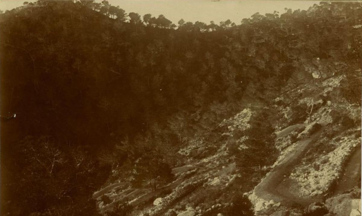 Camino forestal La Solana (1905).