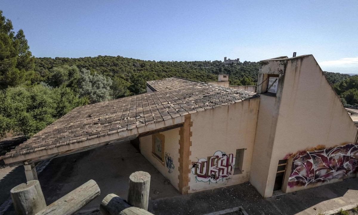 Vandalismo a plena luz del día en un espacio municipal