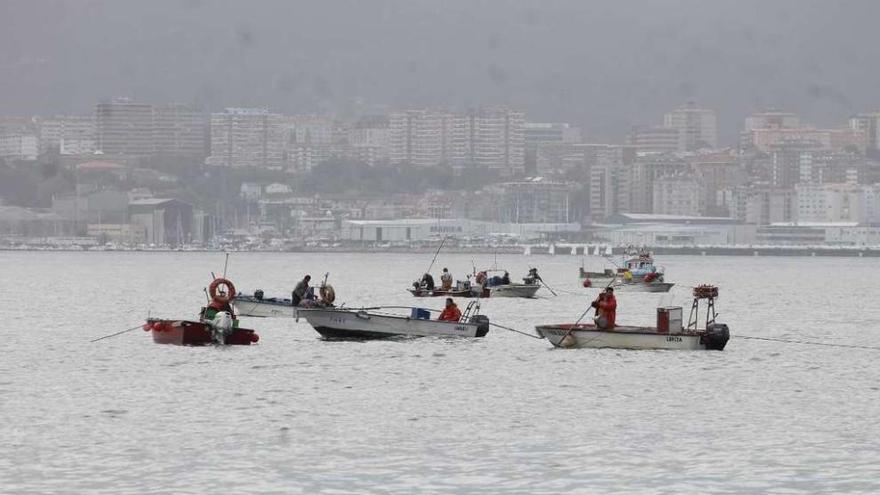 Marisqueo a flote en la zona de Rodeira, en Cangas, con Vigo al fondo. // Santos Álvarez