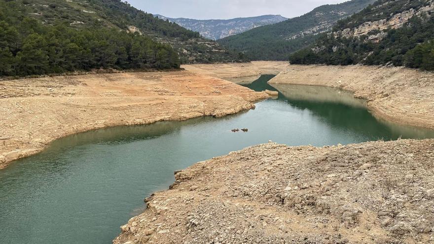 Vídeo: Los pantanos caen al nivel más bajo en siete años en el otoño más seco