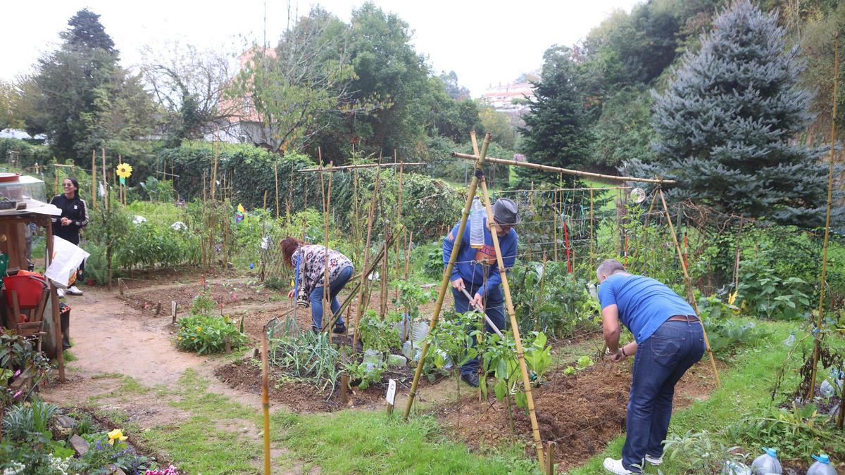 Vecinos de Sada en el huerto que acondicionaron en el solar abandonado de la Rúa da Praia.  | |  IAGO LÓPEZ