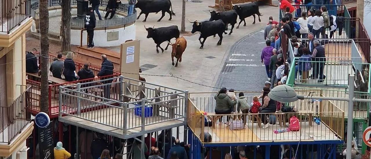 Un matrimonio, él de 79 años, herido al embestirlos una vaquilla en los &quot;bous al carrer&quot;