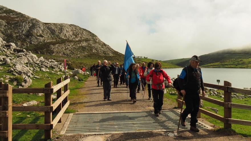 Expertos organizan una excursión gratuita para quien quiera a conocer geología de Picos Europa