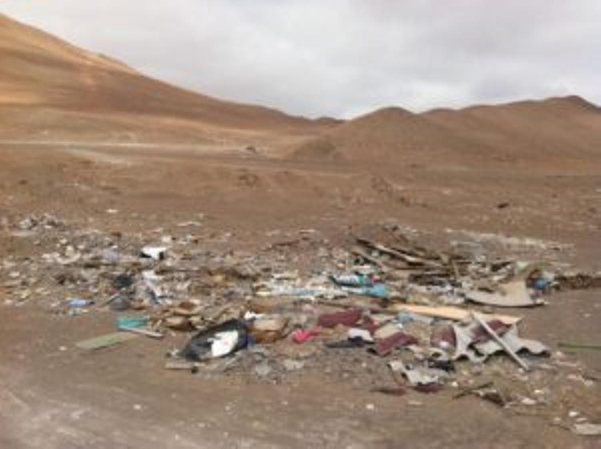 Los plásticos matan a los dromedarios del desierto