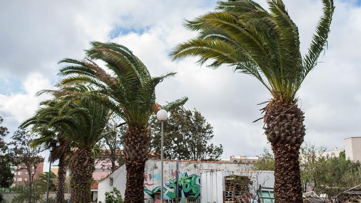 A day of strong winds in the Canary Islands.