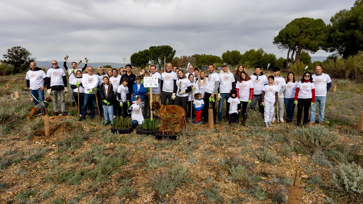 Los trabajadores de Fastighetsbyrån, junto a sus familias, fueron los encargados de plantar el nuevo bosque en el municipio de Biar.