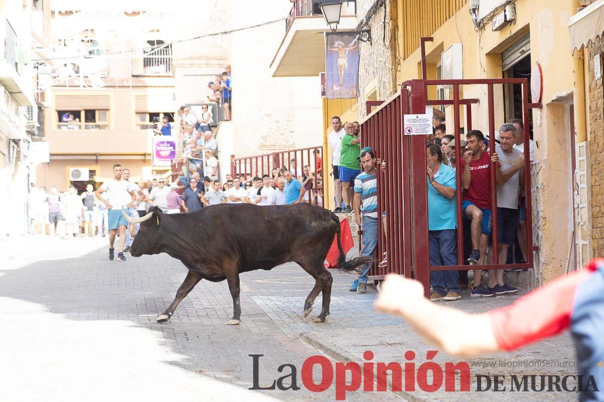 Séptimo encierro de las Fiestas de Moratalla