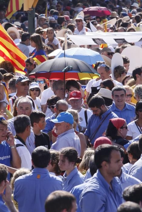 La Diada a Salt