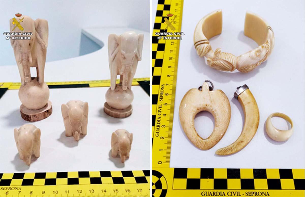 Artículos elaborados con marfil intervenidos por el Seprona, con dos investigados en A Coruña y Neda por tráfico ilegal.
