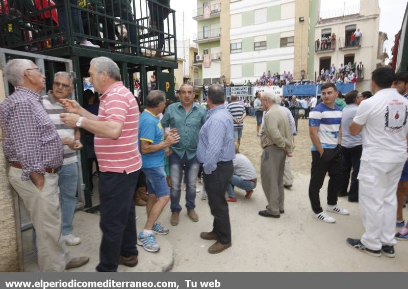 GALERÍA DE FOTOS -- Almassora late con toros bravos pese a la lluvia