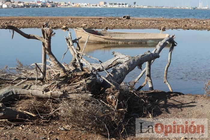 SOS Mar Menor retira dos toneladas de basura