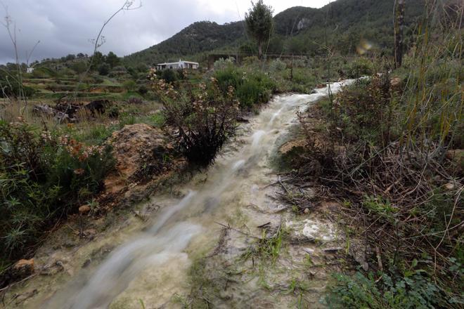 Revientan los ‘ullals’ de sa Talaia y es Broll de Buscastell