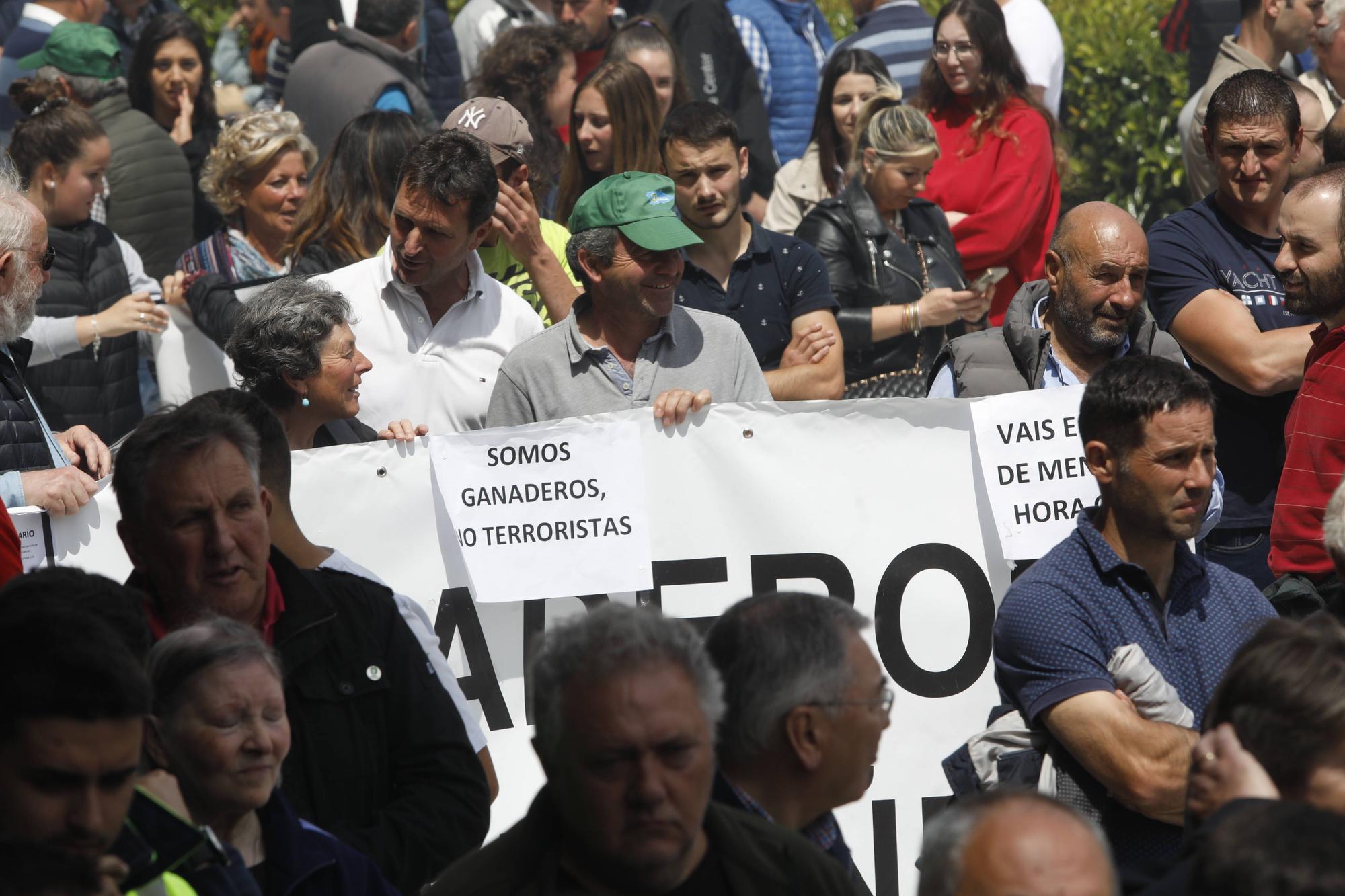 EN IMÁGENES: Así fue la tractorada de protesta del campo asturiano en Oviedo