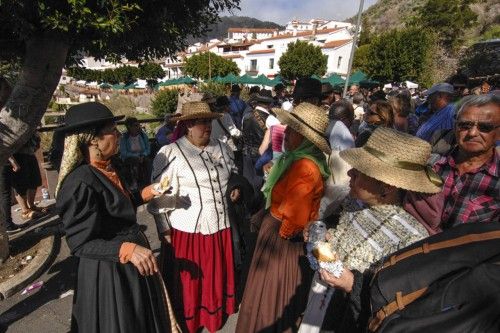 Fiesta del Almendro en Flor 2014