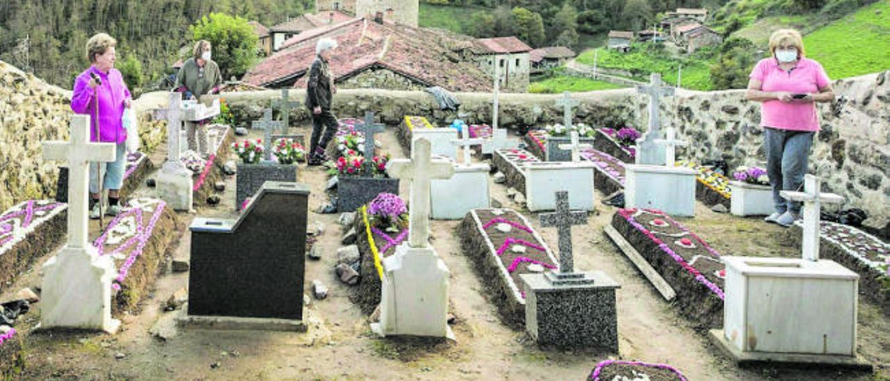 VÍDEO: Bandujo: el cementerio de las flores