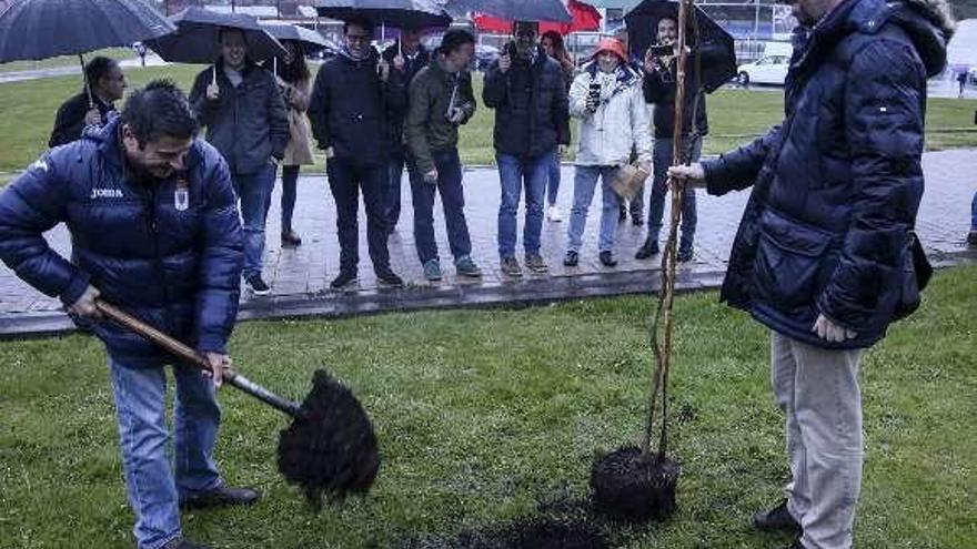 Encargados de la página Oviedin.com plantan el roble del 91 aniversario del Oviedo, en marzo de 2017.