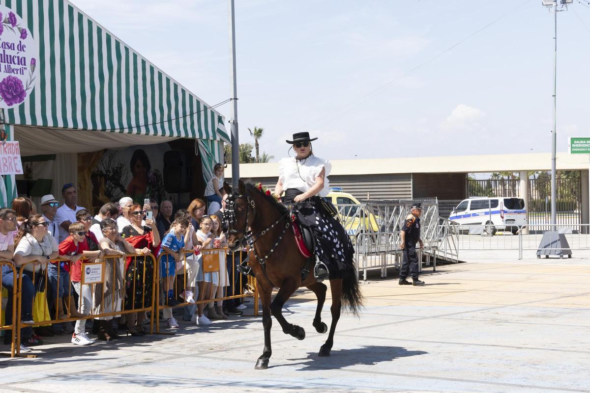 Desfile de carros y caballistas de la Feria de Mayo 2026 de Torrevieja este domingo
