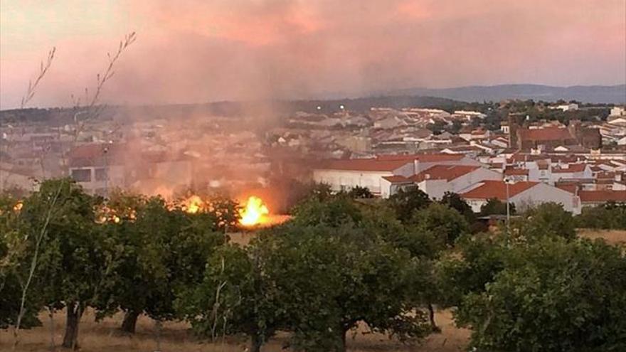 Incendio de pastos próximo al casco urbano