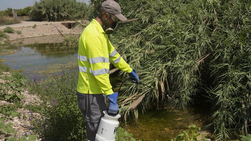 La Diputación de Castellón destina ya más de 330.000 euros a la lucha contra los mosquitos