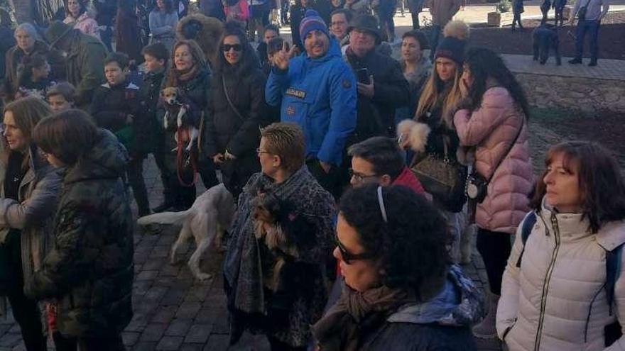 Decenas de personas participan en la bendición de animales organizada por Procan