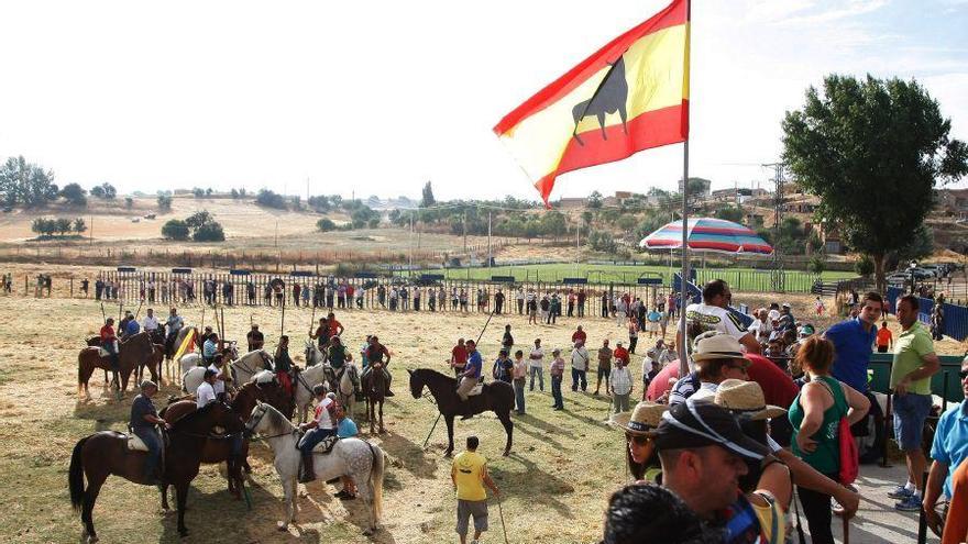 Fiestas en Zamora: Encierro en Venialbo