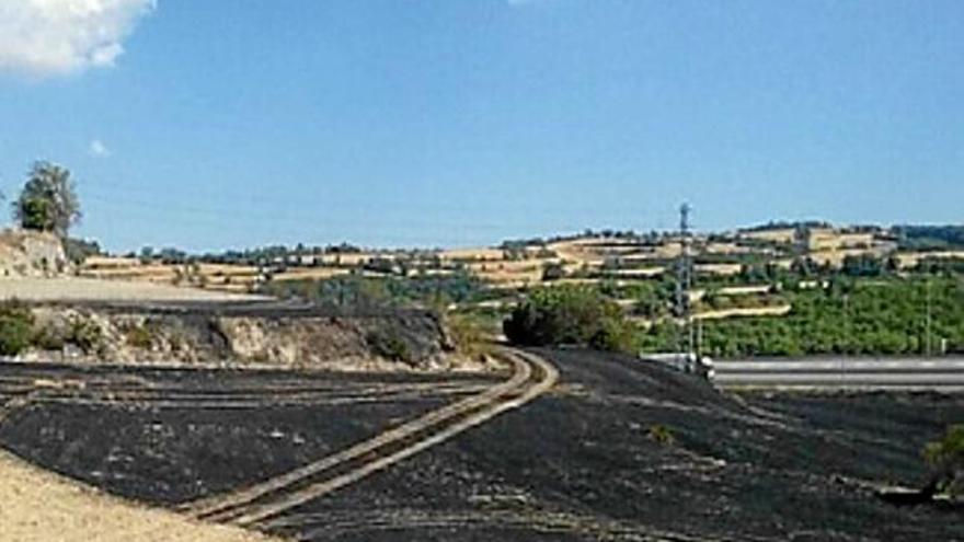 Cremen 2,6 hectàrees agrícoles a Montmaneu