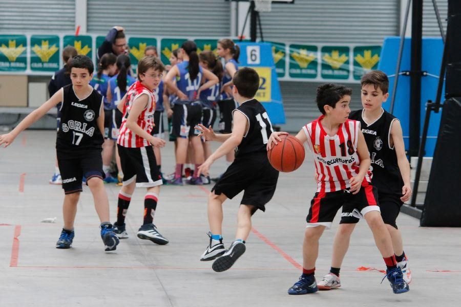 Fanatic Minibasket de Zamora