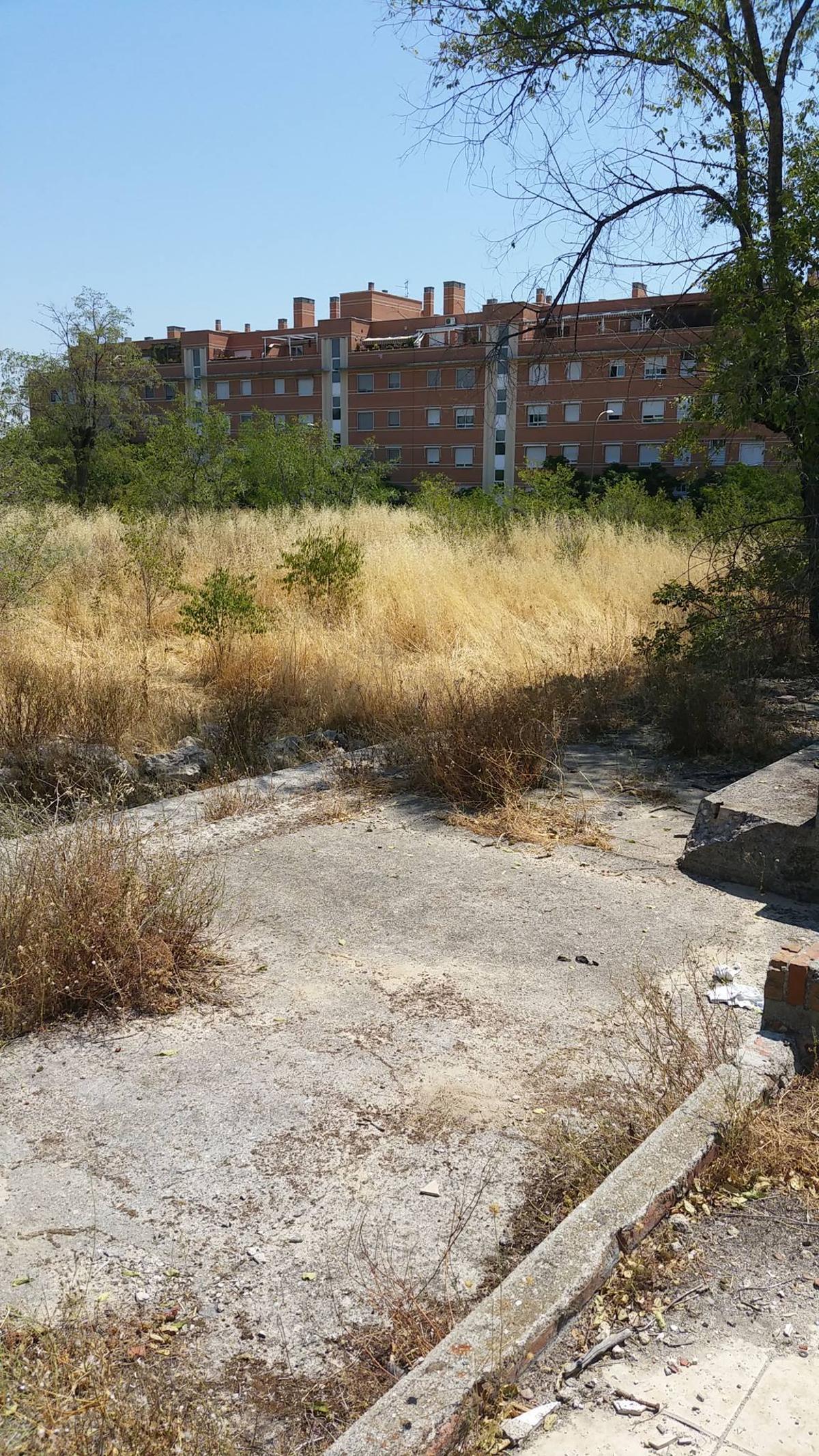 El antes y el después de las Piscinas de San Miguel: de la zona más querida de Madrid a una parcela abandonada