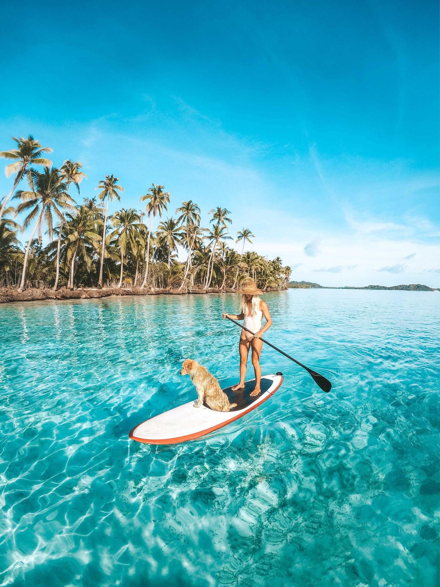 La naturaleza es perfecta disfrutar de unos días de relax con las mascotas