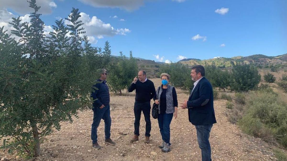 Perona visitó una de las fincas en la pedanía murciana de Corvera.     | CARM