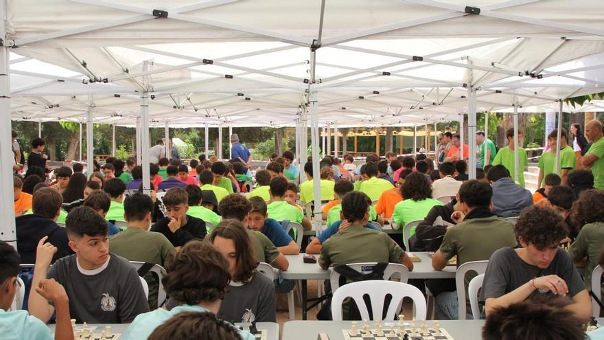 Casi 250 jóvenes ajedrecistas convierten Elche en un gran tablero escolar