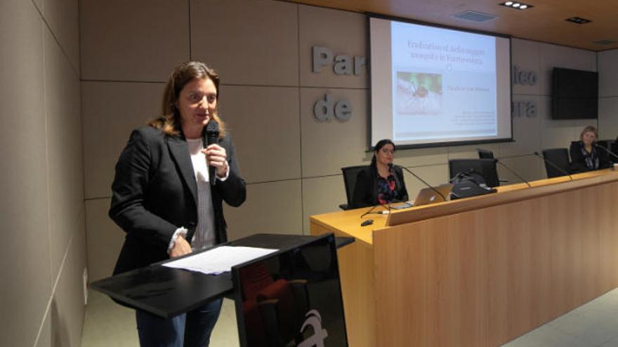 La bióloga María Santana, durante su intervención en la Escuela de Formación sobre el control de mosquitos.